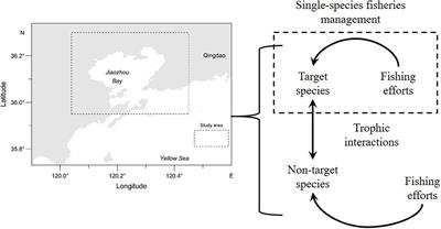 Evaluating Impacts of Trophic Interactions on the Effectiveness of <mark class="highlighted">Single-Species</mark> Fisheries Management